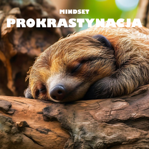 MINDSET-Prokra-2Powody