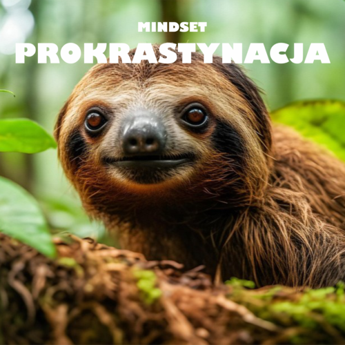 MINDSET-Prokra-3Strategie